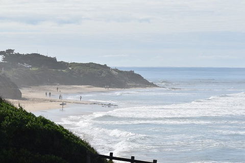 Great Ocean Road Tour Plus Koalas, Forest Walk And Morning Tea. - Events Australia 10