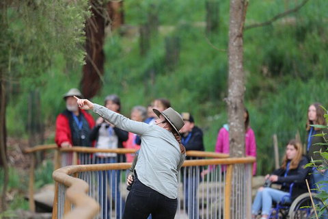 Walk With Wildlife: Guided Tour In Great Ocean Road - Events Australia 0