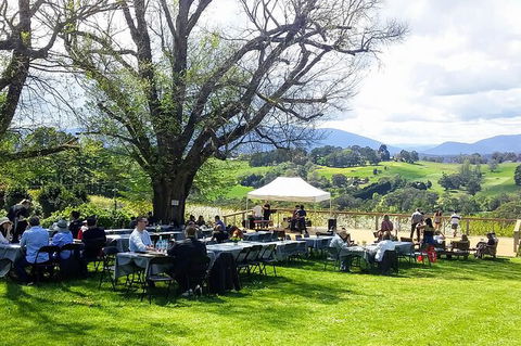 Yarra Valley Smaller Wineries Food And Wine Tour - Tourism Bookings 8