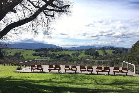 Yarra Valley Smaller Wineries Food And Wine Tour - Tourism Bookings 7