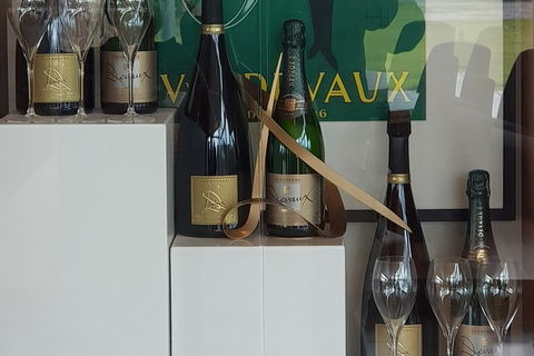 Yarra Valley Wine Tasting Day Tour From Melbourne - Events Australia 2