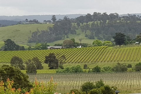 Yarra Valley Wine Tasting Day Tour From Melbourne - Events Australia 0