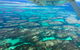 Shipwreck Special Full Day Tour Of The Abrolhos Islands - thumb 5