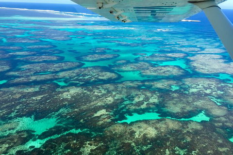 Shipwreck Special Full Day Tour Of The Abrolhos Islands - Events Australia 5