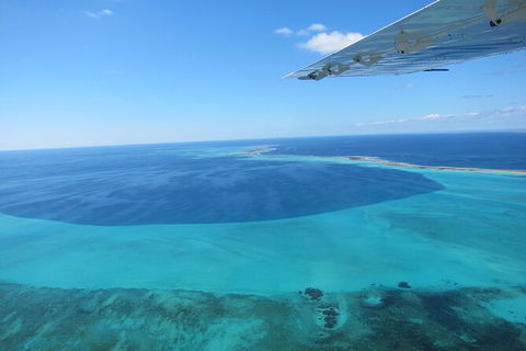 Shipwreck Special Full Day Tour Of The Abrolhos Islands - Events Australia 2
