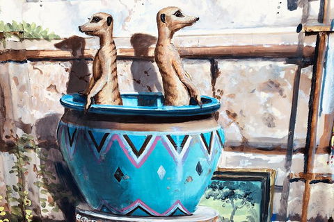 Photography Tour Of Historical Fremantle And Street Art. - Events Australia 4