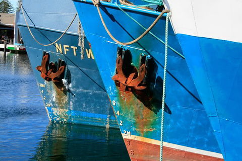 Photography Tour Of Historical Fremantle And Street Art. - Events Australia 0