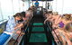 Coral Bay 1-Hour Coral Viewing - thumb 3