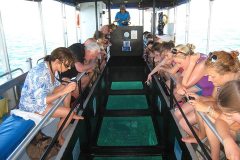 Coral Bay 1-Hour Coral Viewing - Accommodation Europe 3