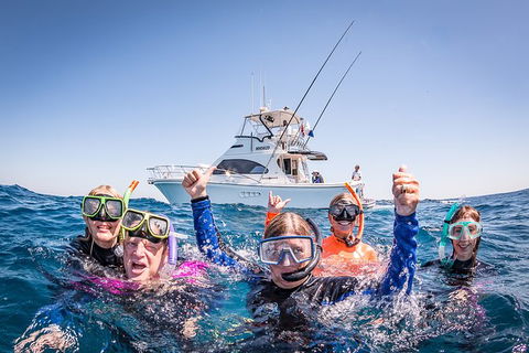 Life On Ningaloo Swimming Tour In Exmouth - Events Australia 4