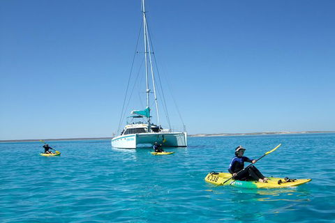 5 Night Ningaloo Reef Ningaloo Escape From Coral Bay - Tourism Bookings 0