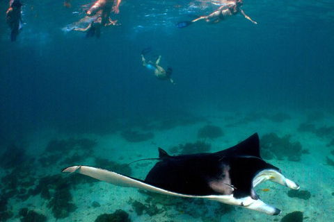 5 Night Ningaloo Reef Ningaloo Escape From Coral Bay - Tourism Bookings 1