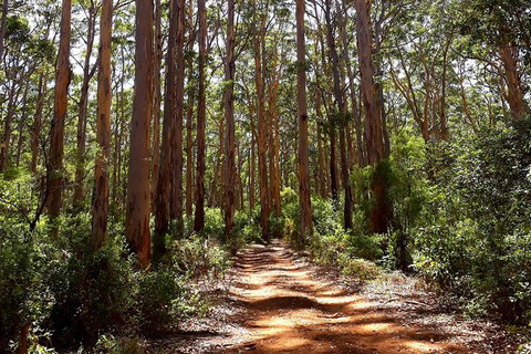 Explore Margaret Rivers\' National Parks On A Guided Cape To Cape Track Walk - Events Australia 5