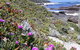 Explore Margaret Rivers\' National Parks On A Guided Cape To Cape Track Walk - thumb 2