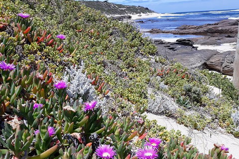Explore Margaret Rivers\' National Parks On A Guided Cape To Cape Track Walk - Events Australia 2