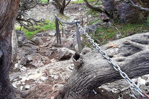 Explore Margaret Rivers\' National Parks On A Guided Cape To Cape Track Walk - Events Australia 1