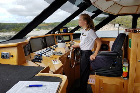 Full-Day Killer Whale Expedition From Albany - Events Australia 4