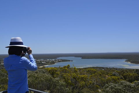 Full-Day Killer Whale Expedition From Albany - Events Australia 5
