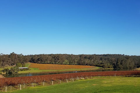 Highlights Of Margaret River: Boutique Wineries & Unique Experiences - Events Australia 5
