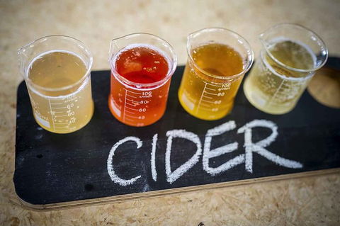 Bickley Valley Wine & Cider Tour - Premium Small Group Tour - Events Australia 1
