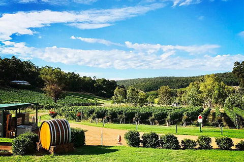 Bickley Valley Wine & Cider Tour - Premium Small Group Tour - Events Australia 0