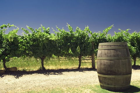 Pinnacles Desert Private Tour - Events Australia 4