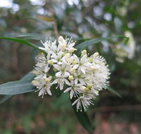 Booderee National Park - Events Australia