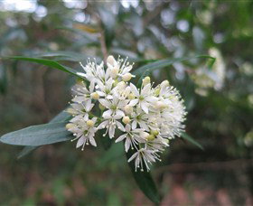 Booderee National Park - Events Australia 0