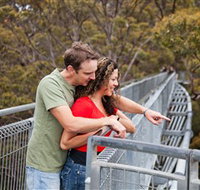 Valley of the Giants Tree Top Walk - Accommodation Europe