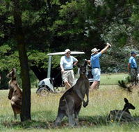 Glen Innes Golf Club - Events Australia