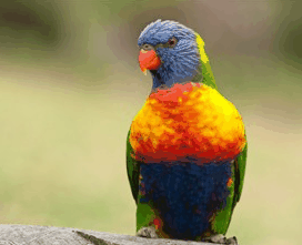 Booderee National Park - Events Australia 1