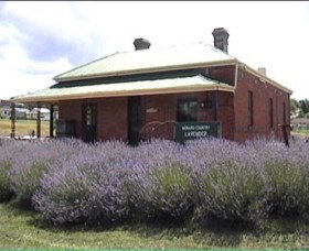 Lavender House In Railway Park - Events Australia 0