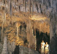 Mammoth Cave - Events Australia
