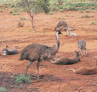 Hammond Park - Events Australia