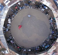 Two-Up School - Events Australia