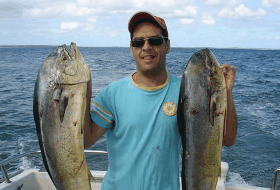 Jervis Bay Fishing and Charters - Events Australia