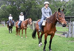 Valhalla Horse Riding - Events Australia 2