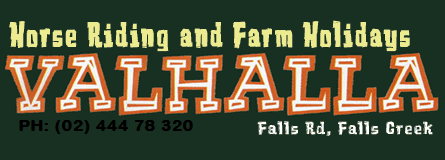 Valhalla Horse Riding - Events Australia 4