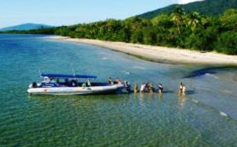 Cape Tribulation QLD Events Australia