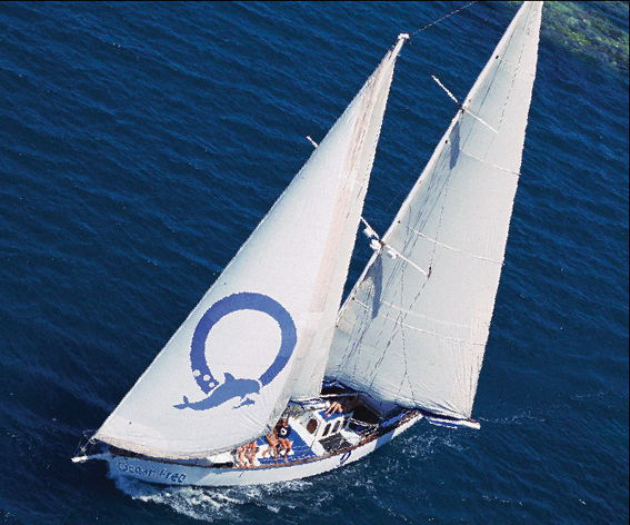 Cairns City QLD Events Australia