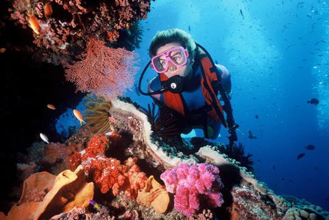 Calypso Reef Charters - Events Australia 2