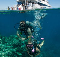 Down Under Cruise and Dive - Events Australia