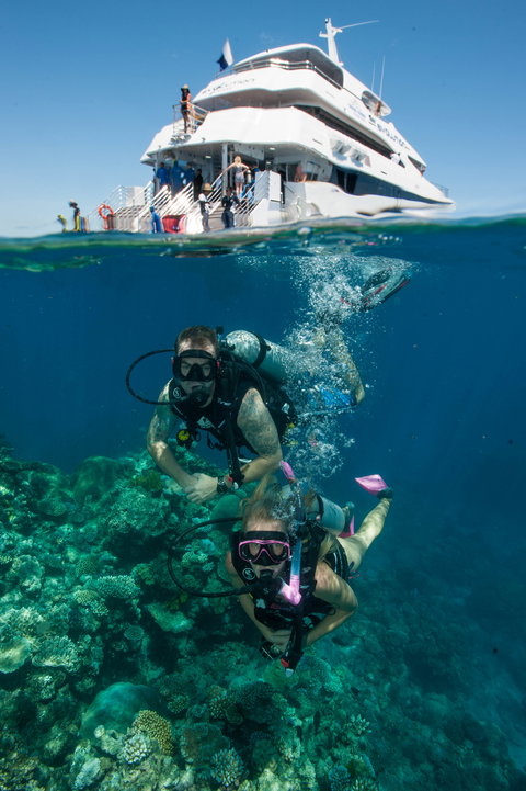 Down Under Cruise And Dive - Events Australia 0