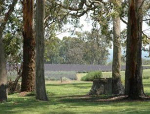Amosfield QLD Events Australia