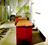 Koi - Events Australia