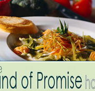 Land of Promise Hotel - Tourism Bookings