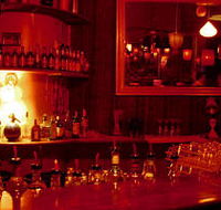 The Night Cat - Events Australia