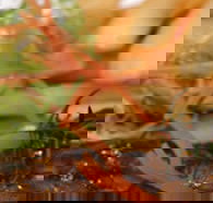 Hallam Hotel - Events Australia