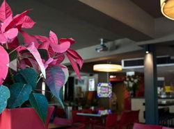 The Buckland Hotel - Tourism Bookings 1