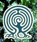 Forest Cafe & Bar - Events Australia 2